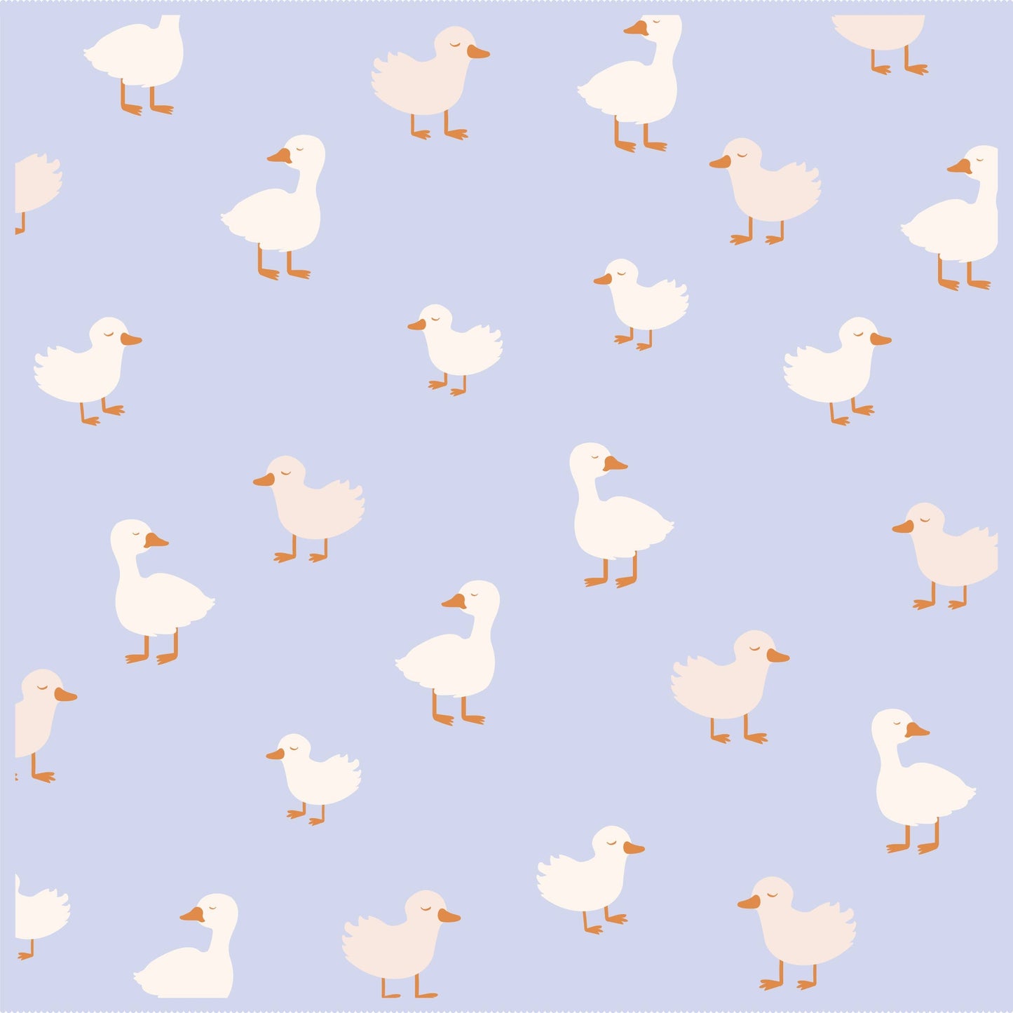 Blue Ducks Blanket