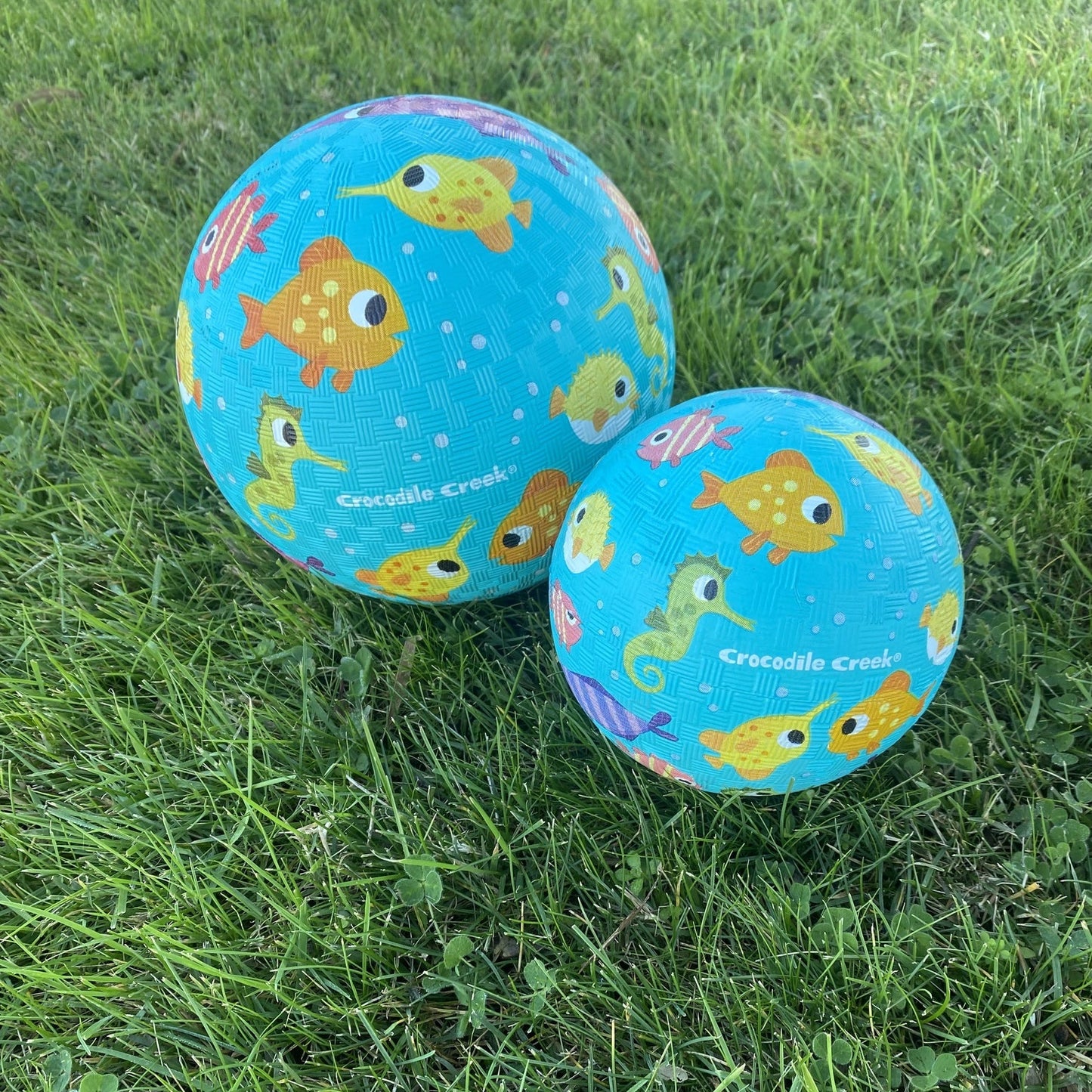 Playground Ball, Fish