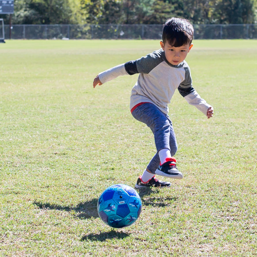 Glitter Soccer Ball, Shark