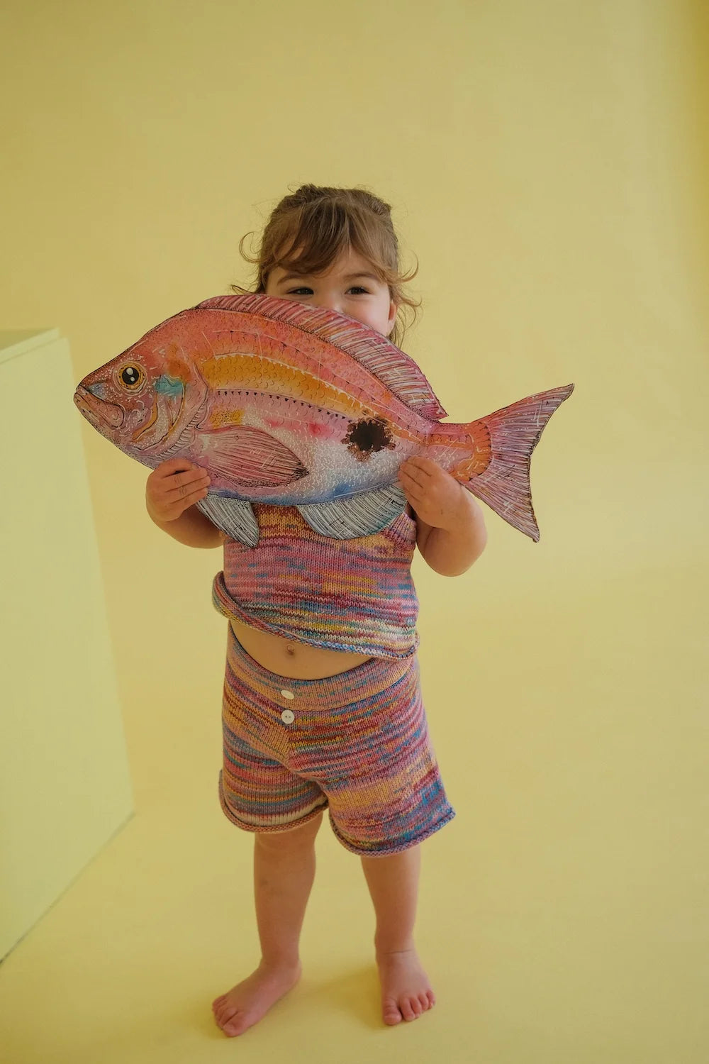 Knitted Shorts, Rainbow