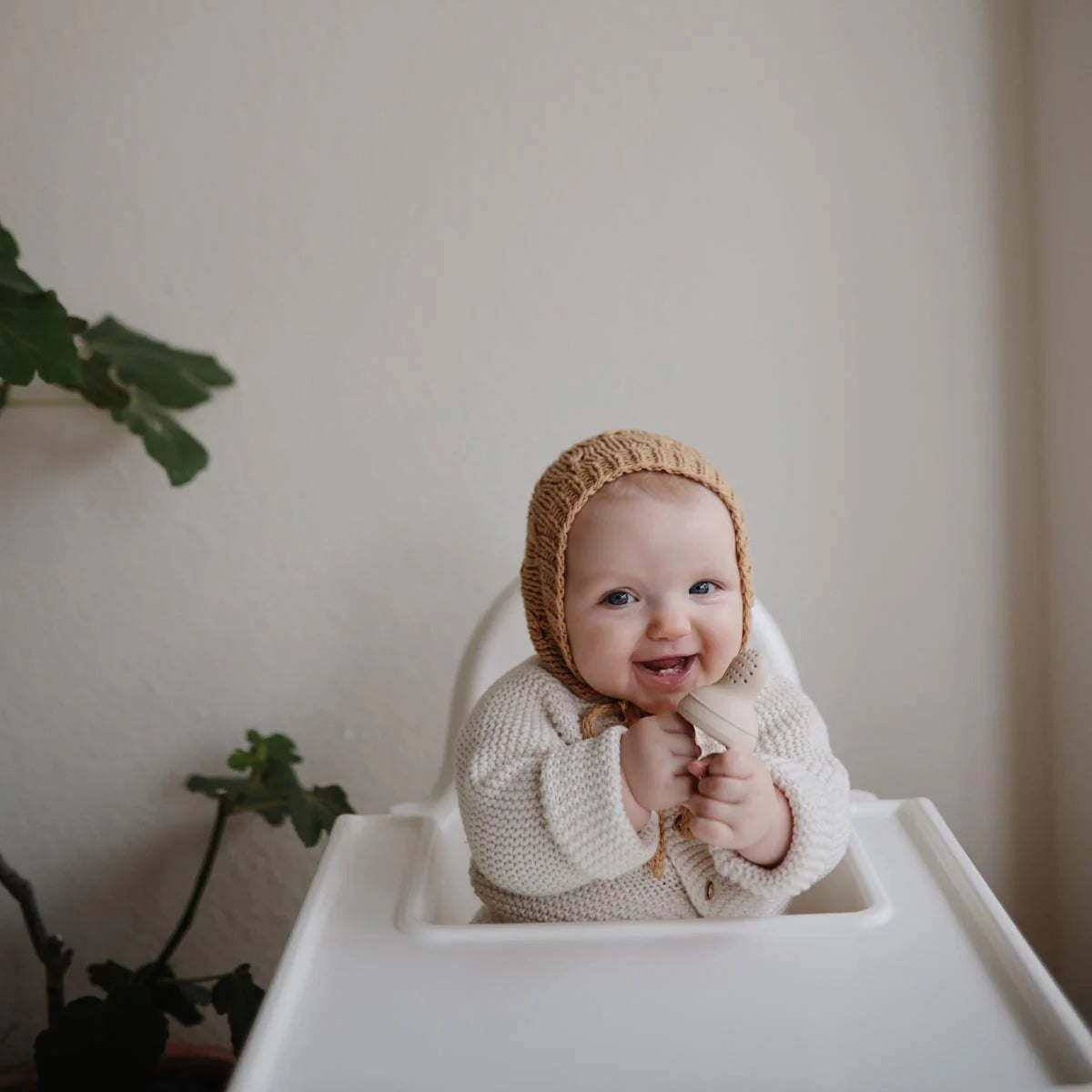 Fresh Food Feeder, Sage