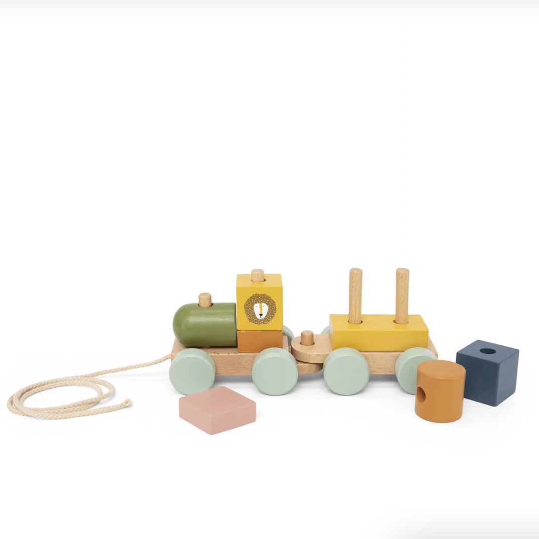 Wooden Mini Train