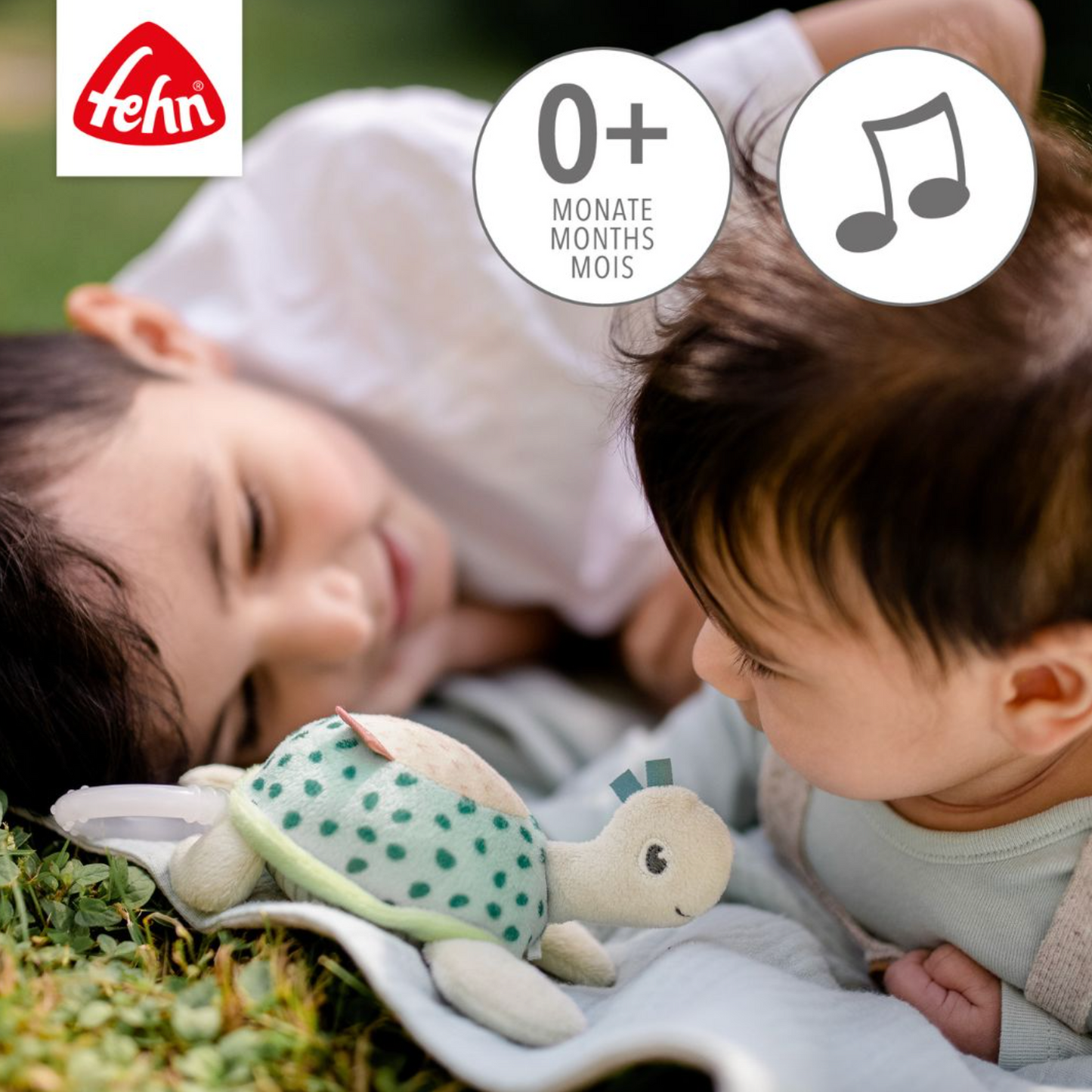 Mini Musical Turtle