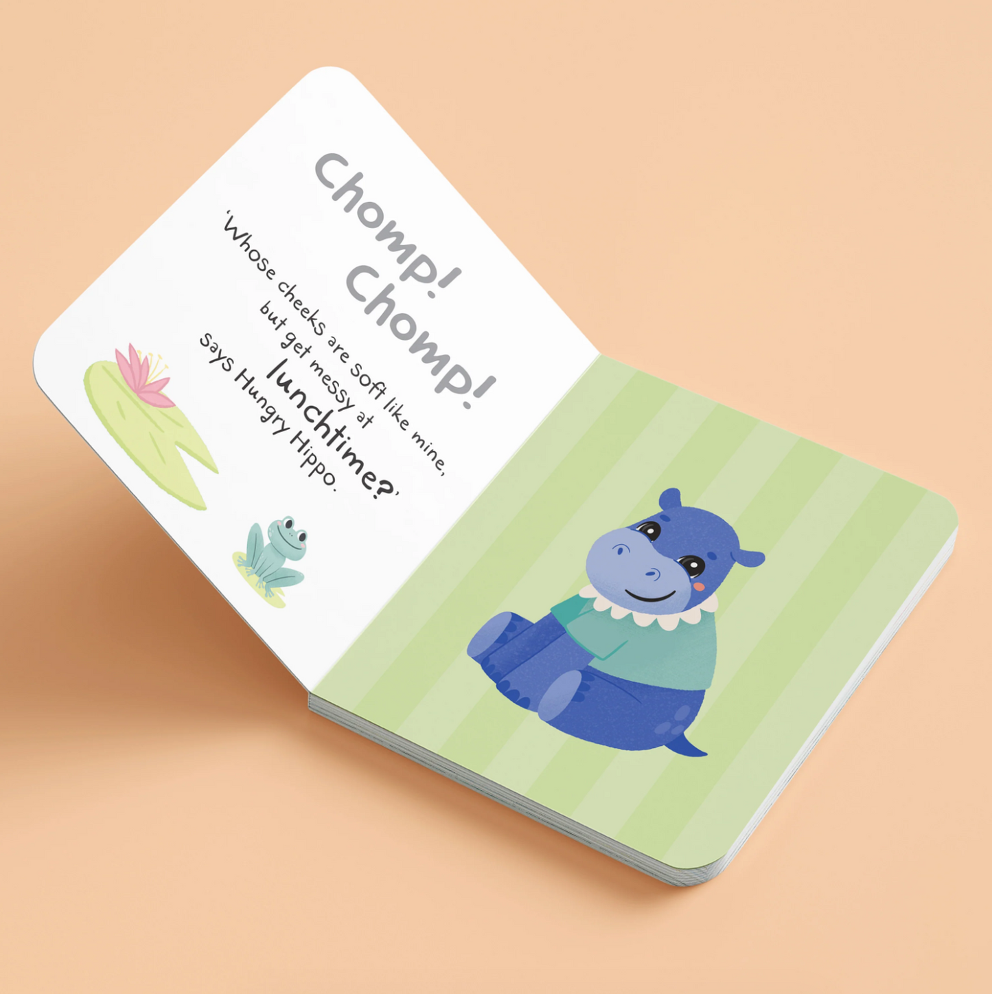 Hello Baby! Mirror Book