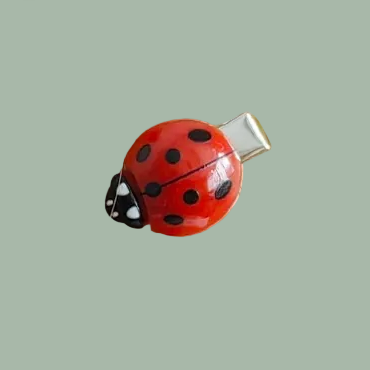 Mini Daisy & Ladybug Clips
