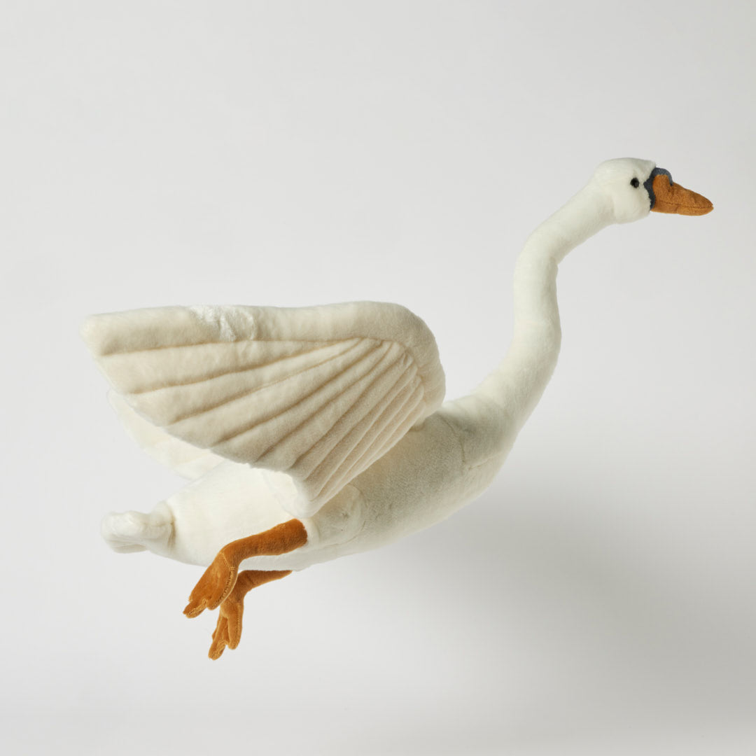 Flying Swan