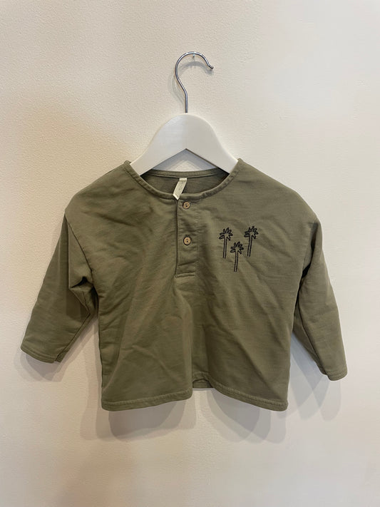 RYLEE & CRU palm tree top, size 18-24m