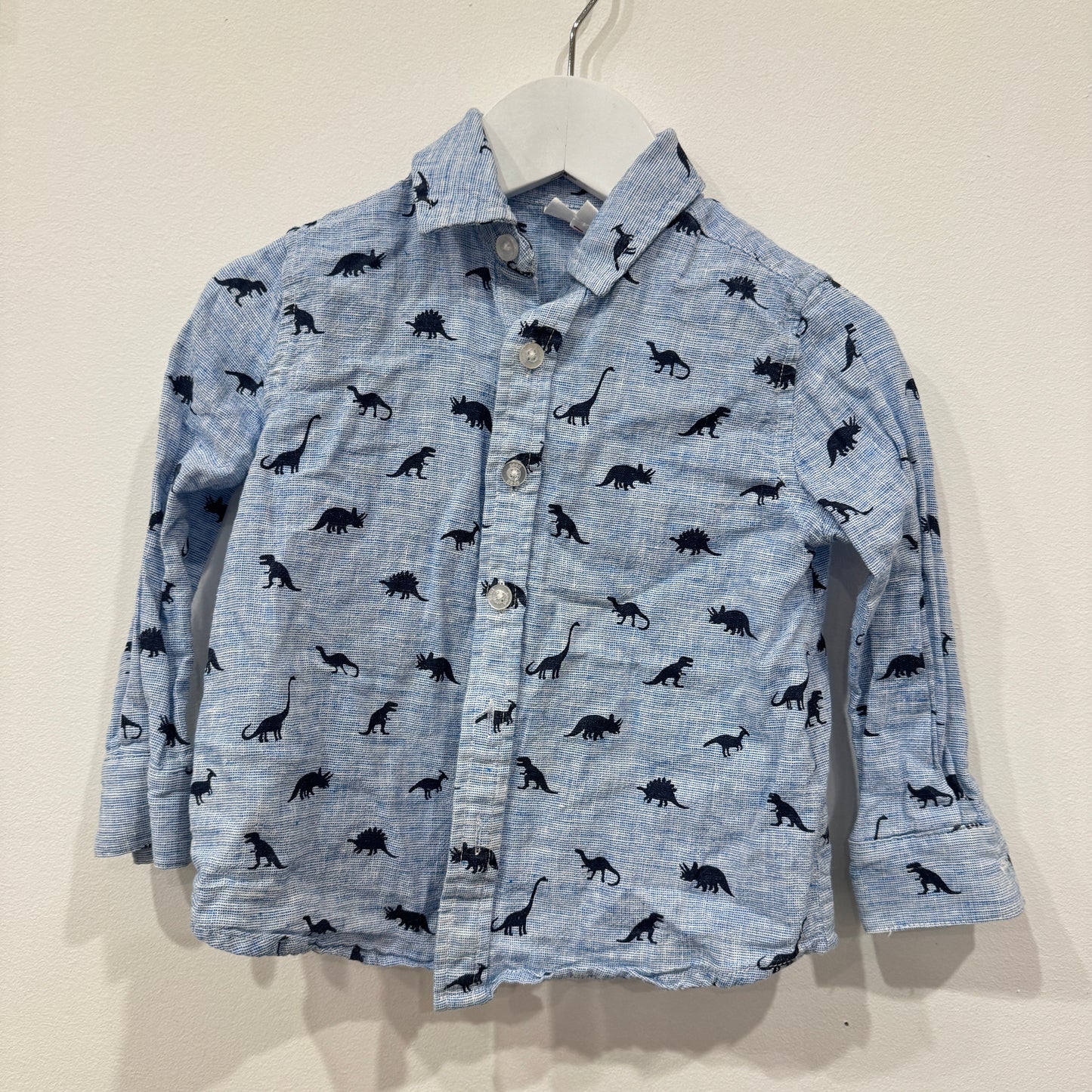 SEED Dino shirt, 2