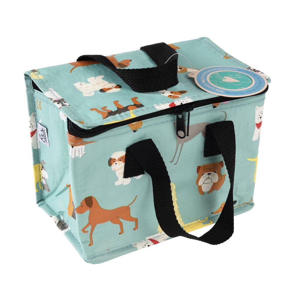 Insulated Lunch Bags