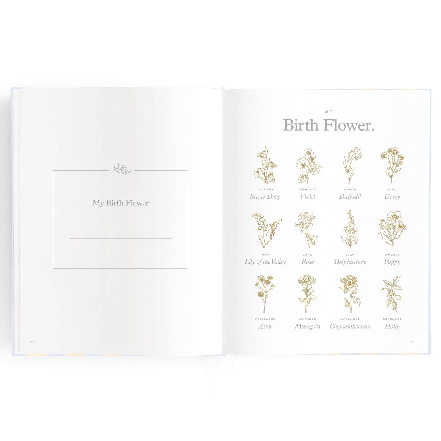 Baby Book, Cloud Stripe