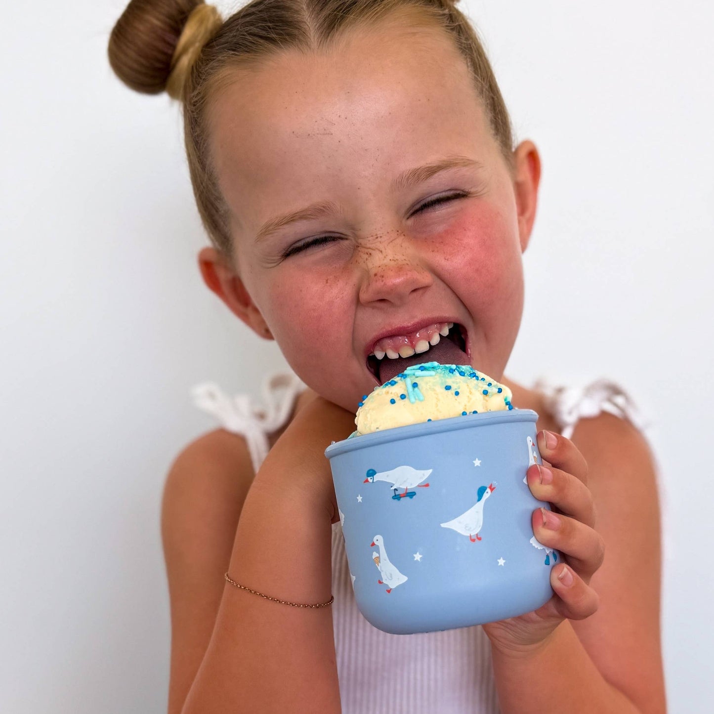 Silly Goose Snack Pot