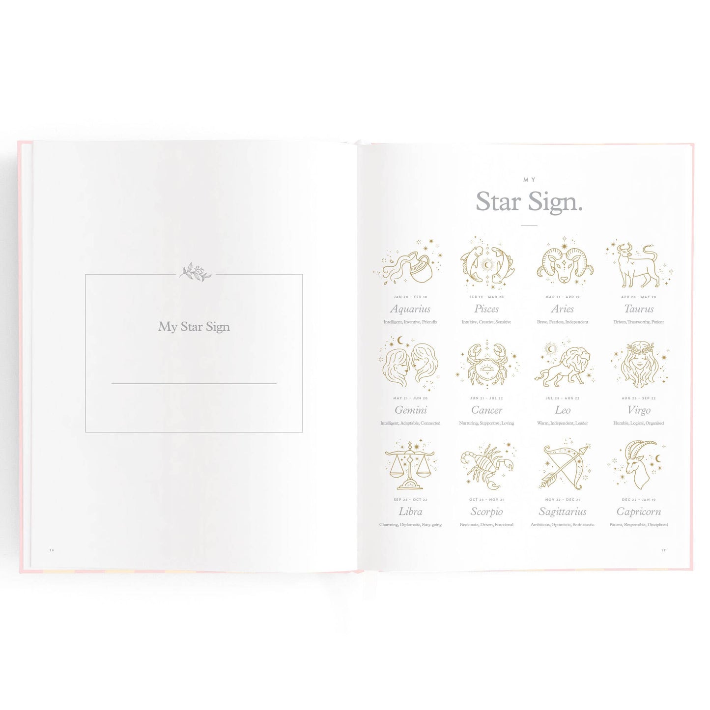 Baby Book, Petal Stripe