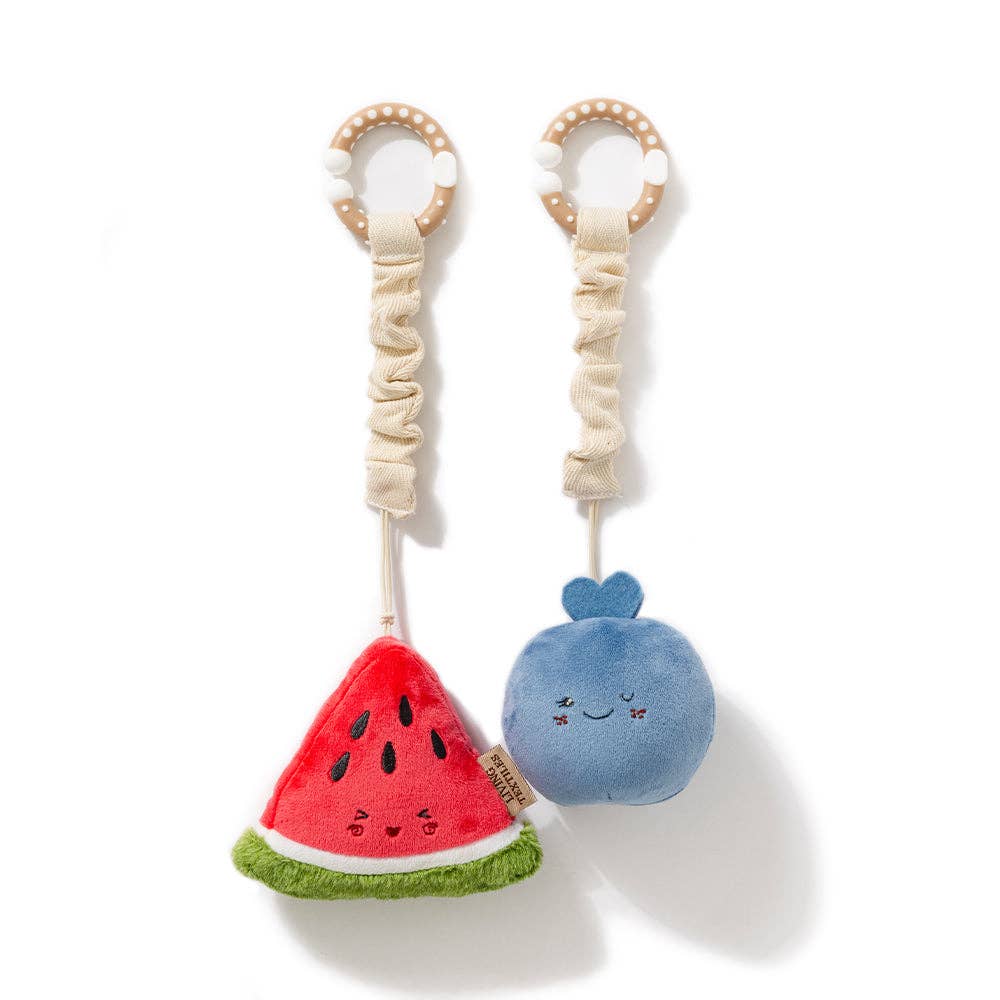 Watermelon & Blueberry Stroller Toys