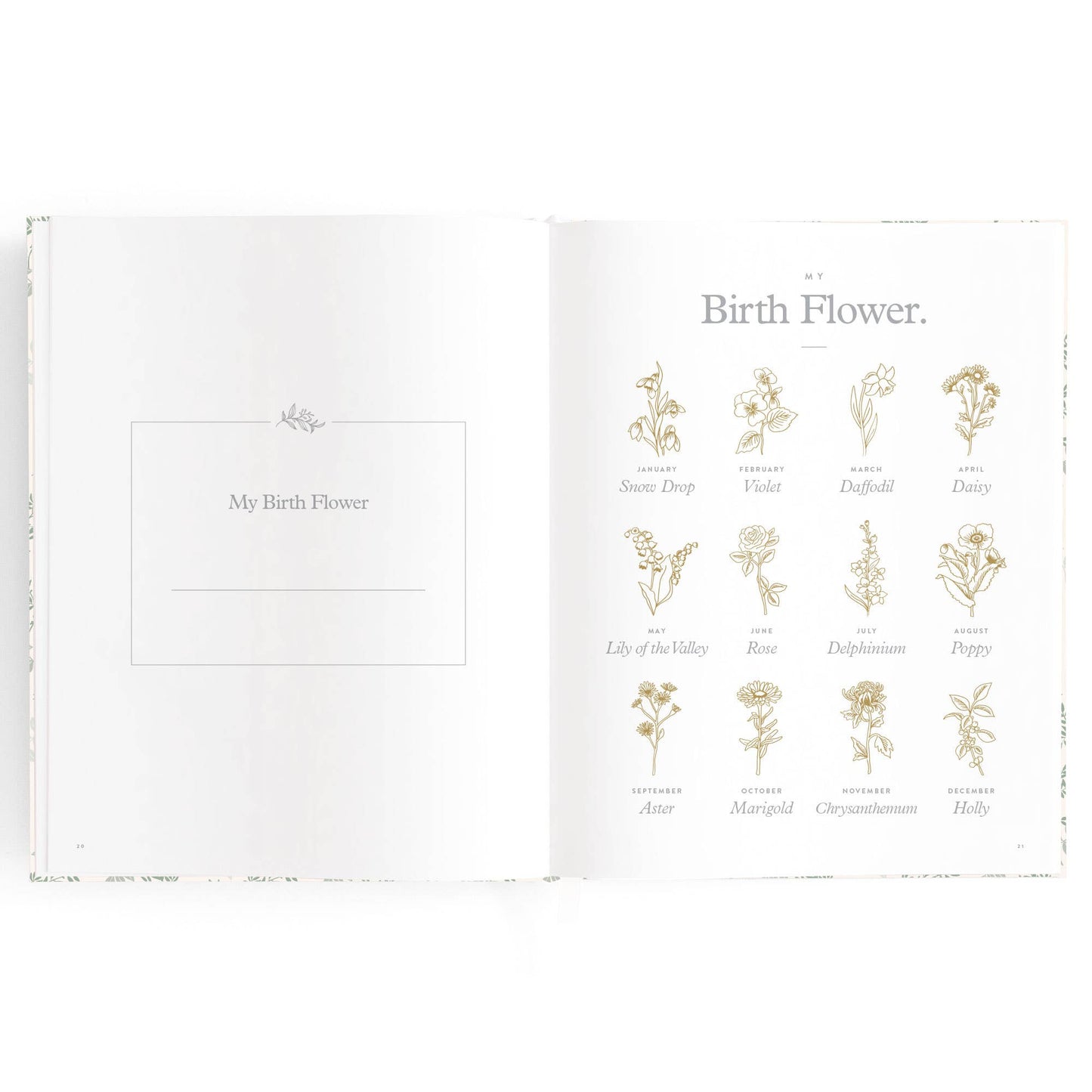 Baby Book, Cypress