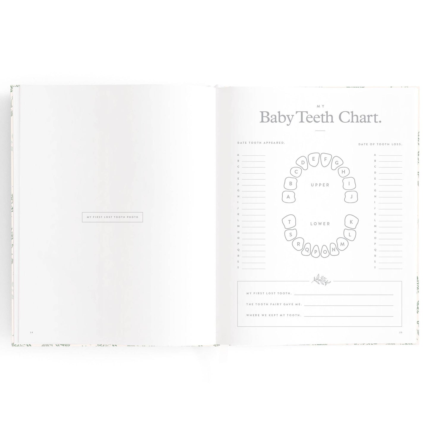 Baby Book, Cypress