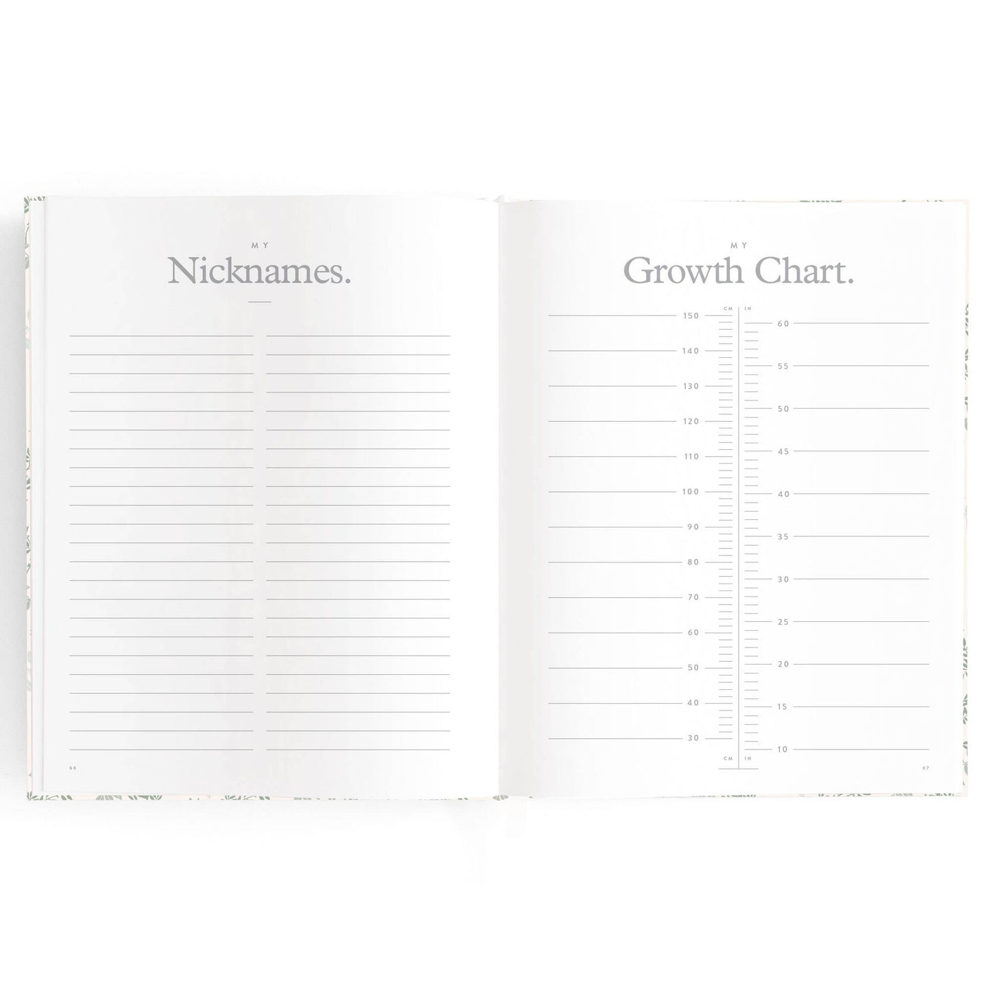 Baby Book, Cypress