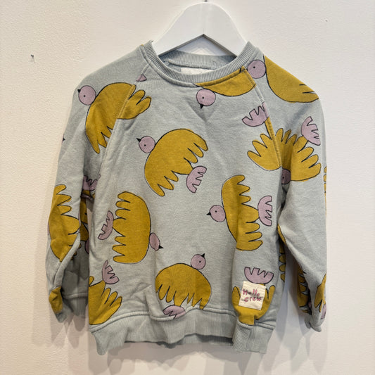ZARA Blue Bird Sweater, 6