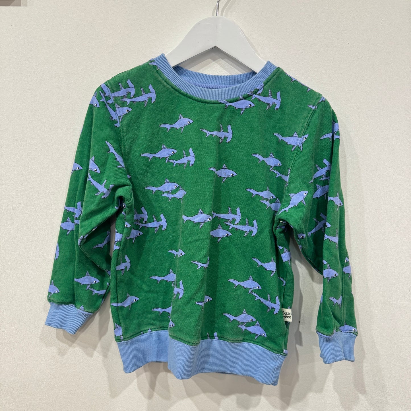 GOLDIE + ACE Shark Jumper, 5