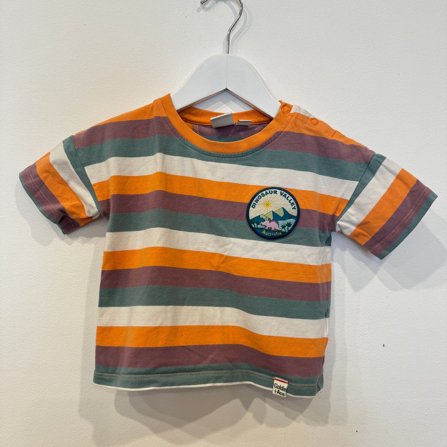 GOLDIE + ACE Dino valley t-shirt, 6-12m