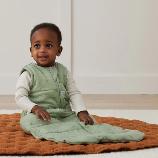 Sleeping Bag 2.5 TOG, Willow