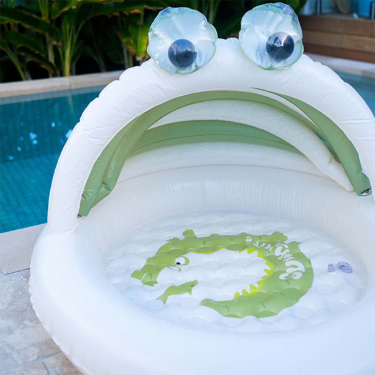 Kids Pool, Cookie the Croc