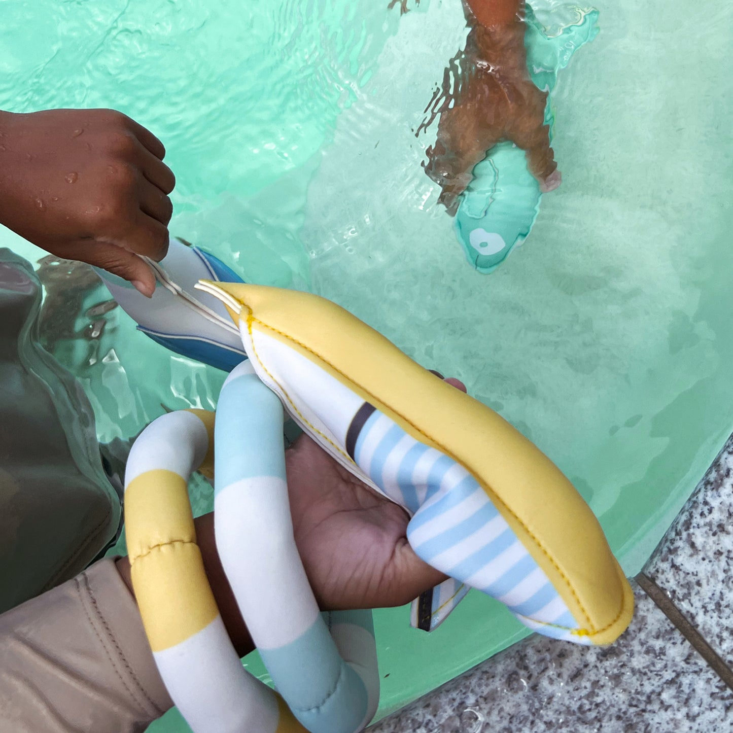 Sammy the Seagull Dive Buddies