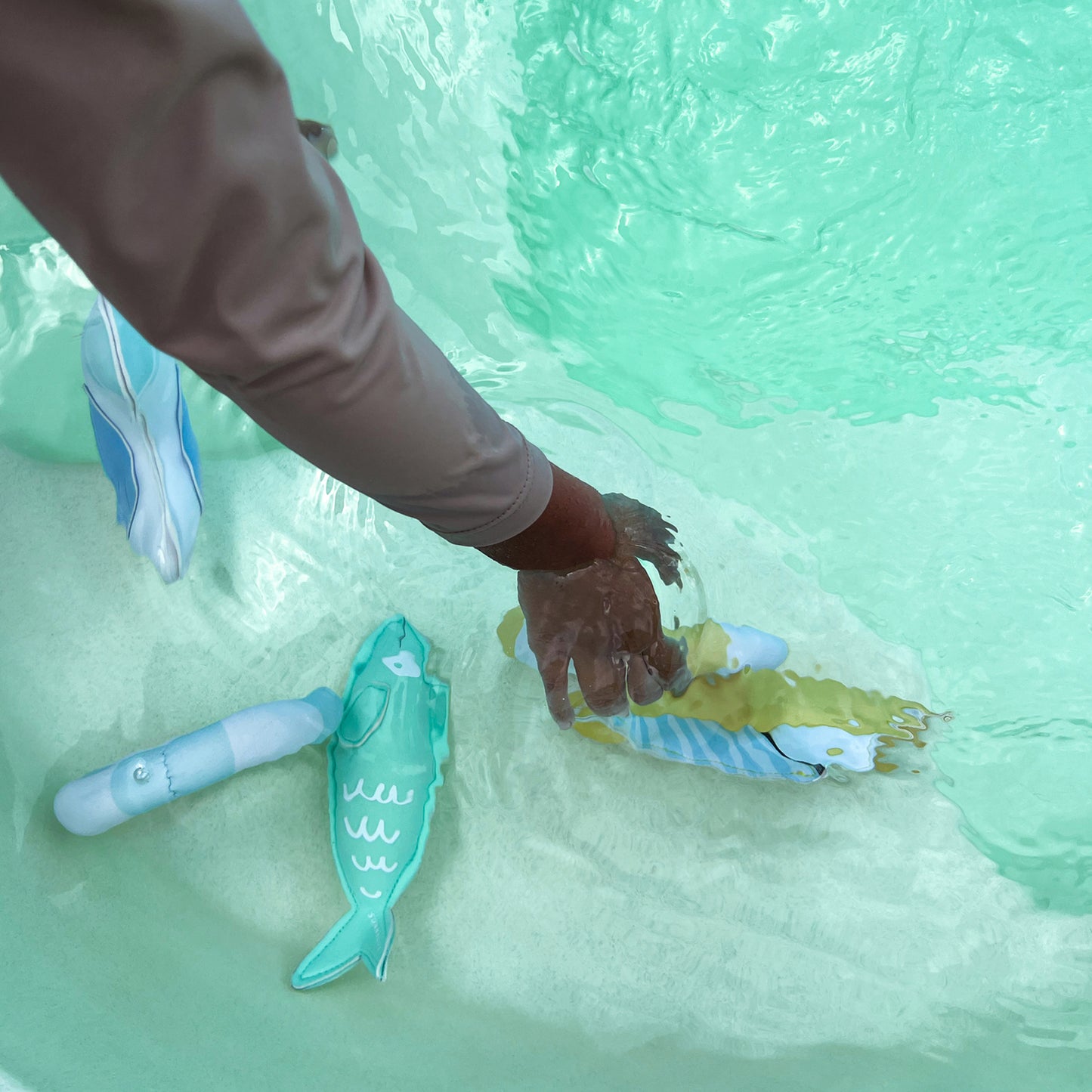 Sammy the Seagull Dive Buddies