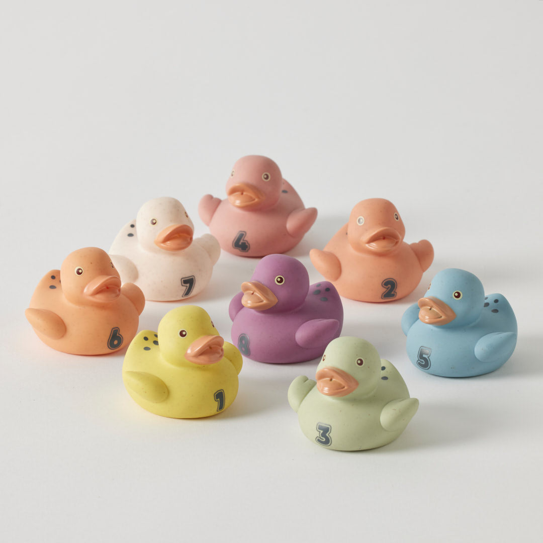 Eco Friendly Counting Ducks