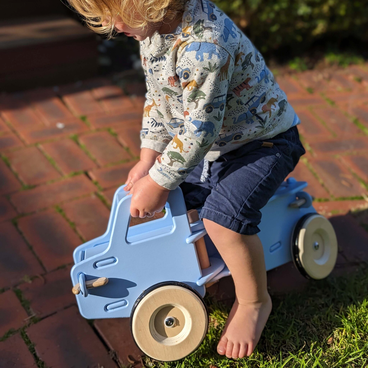 Dump Truck, Light Blue