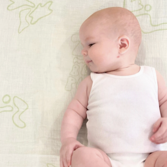 The Laze Organic Swaddle, Milk