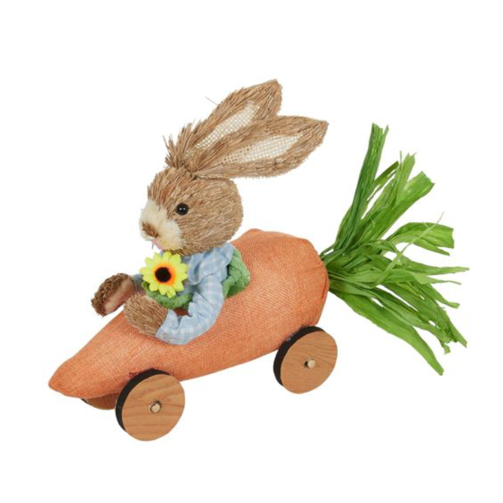 Racing Rabbit