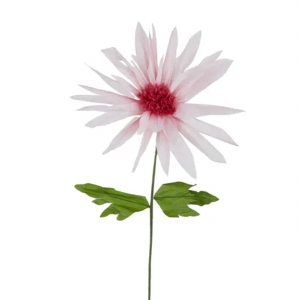 Paper Daisy, Soft Pink