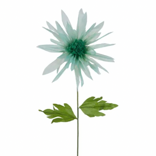 Paper Daisy, Mint