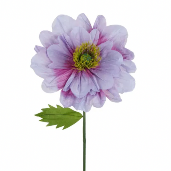 Paper Poppy, Lilac