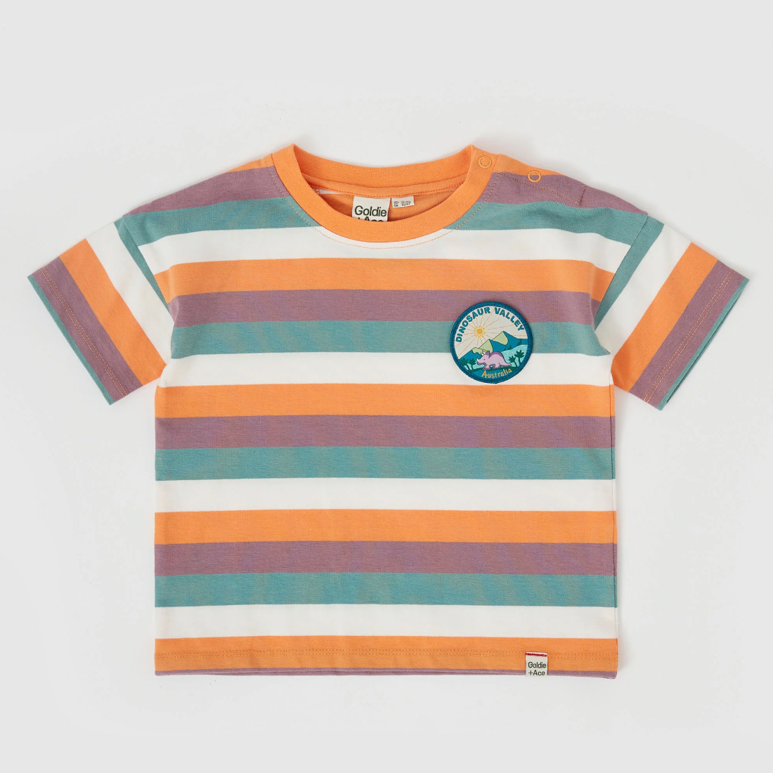 Dino Valley Nostalgia Stripe T-Shirt