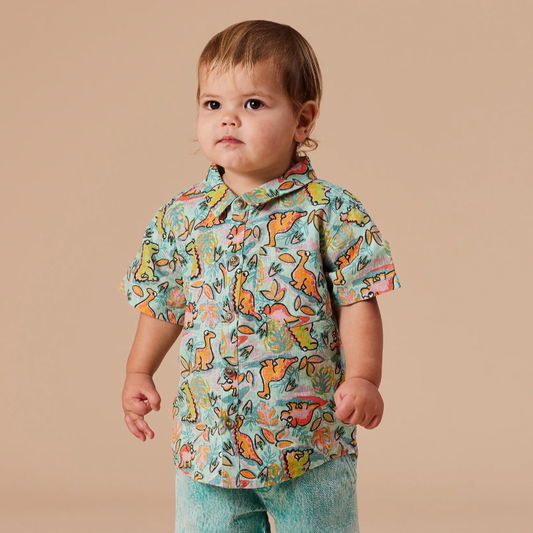 Holiday Linen Shirt, Dino Jungle