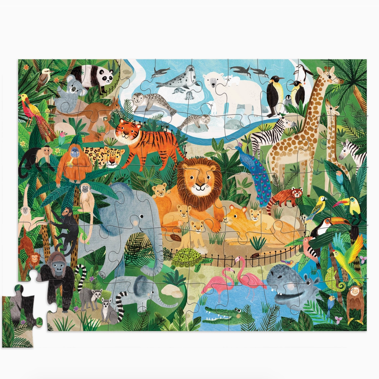 Flat House Puzzle, Zoo