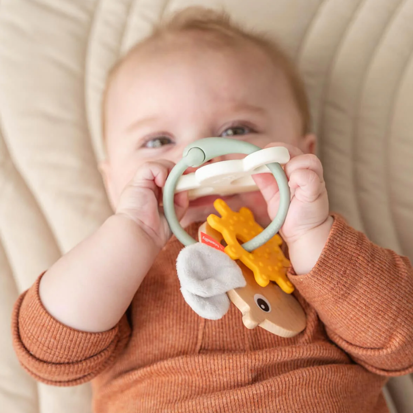 Sensory Activity Ring