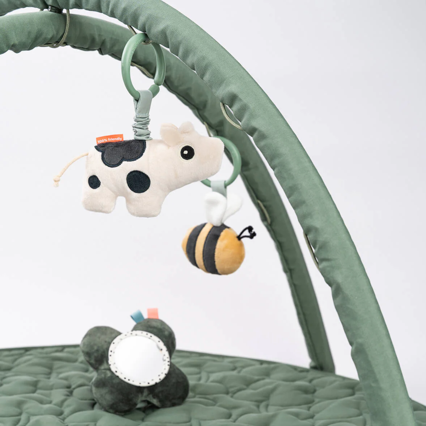 Activity Play Mat