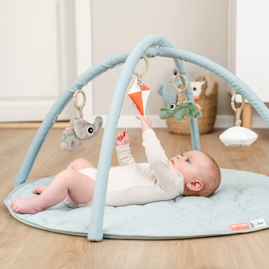 Activity Play Mat