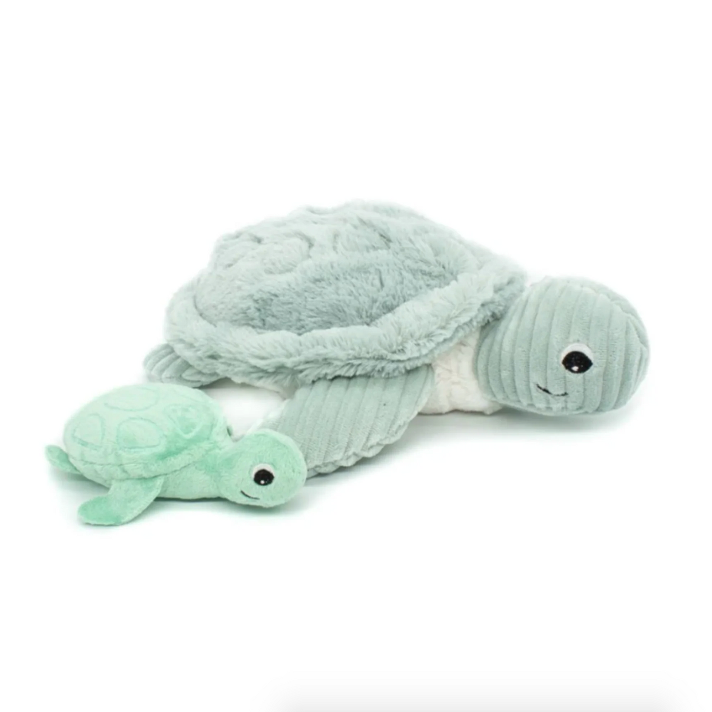 Sauvenout the Turtle, Mum & Baby