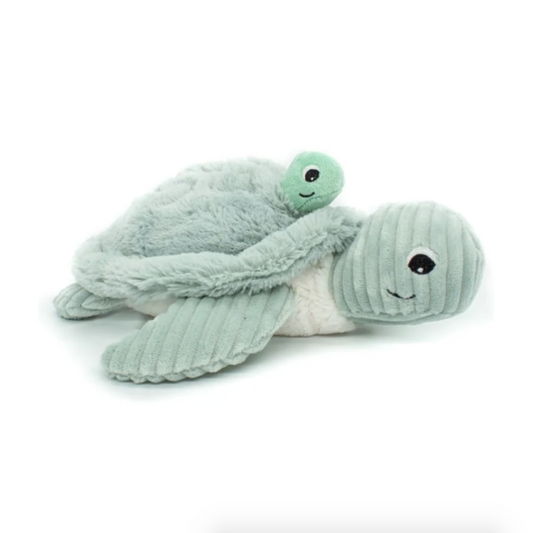 Sauvenout the Turtle, Mum & Baby