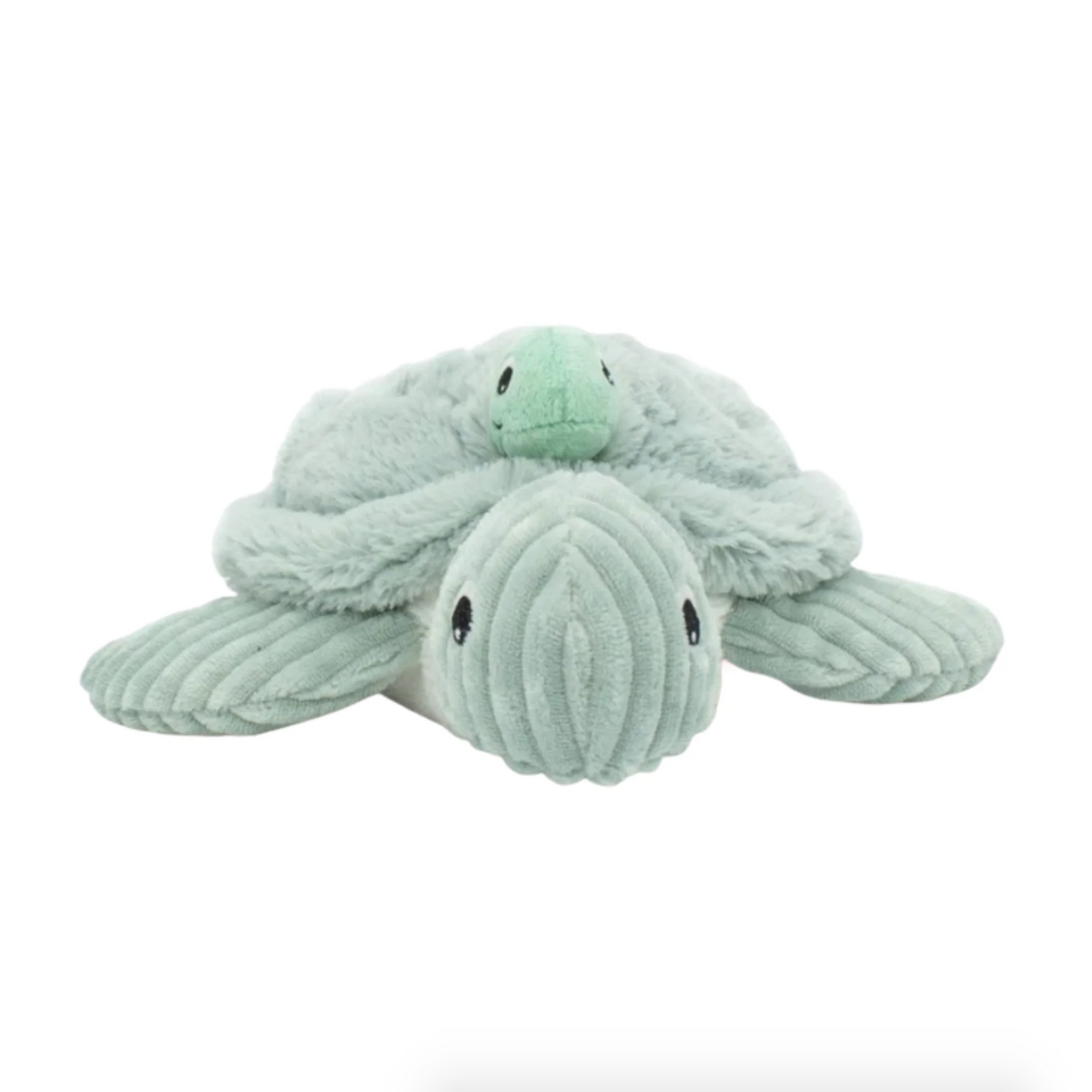 Sauvenout the Turtle, Mum & Baby