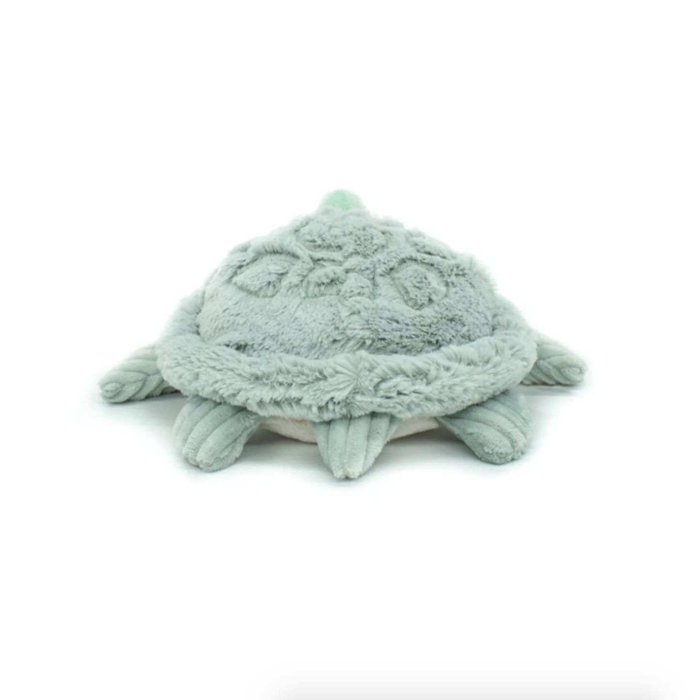 Sauvenout the Turtle, Mum & Baby