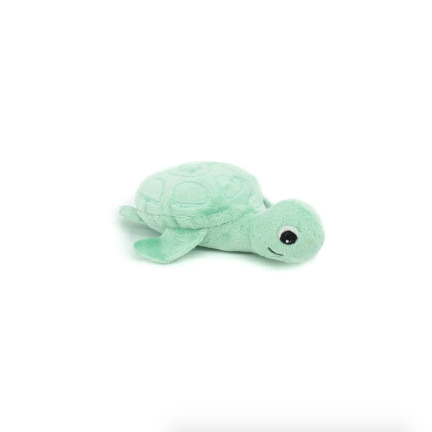 Sauvenout the Turtle, Mum & Baby