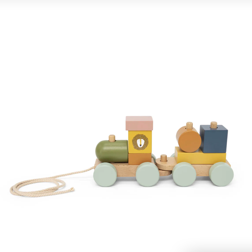 Wooden Mini Train