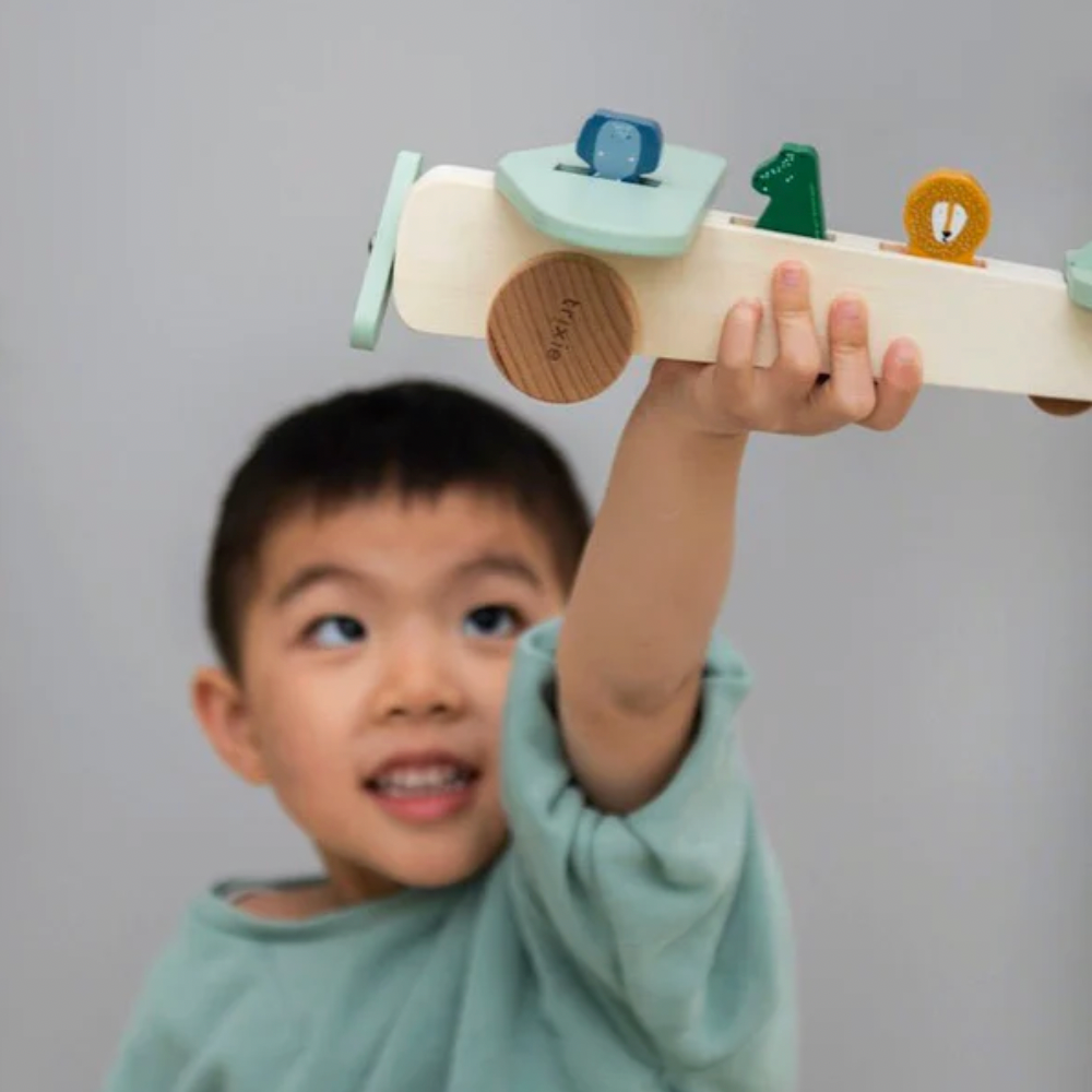 Wooden Airplane