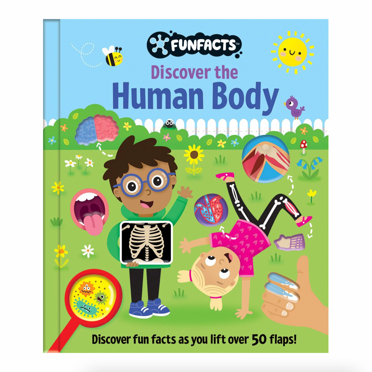 Fun Facts, Discover the Human Body