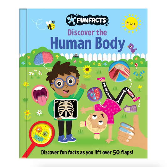 Fun Facts, Discover the Human Body