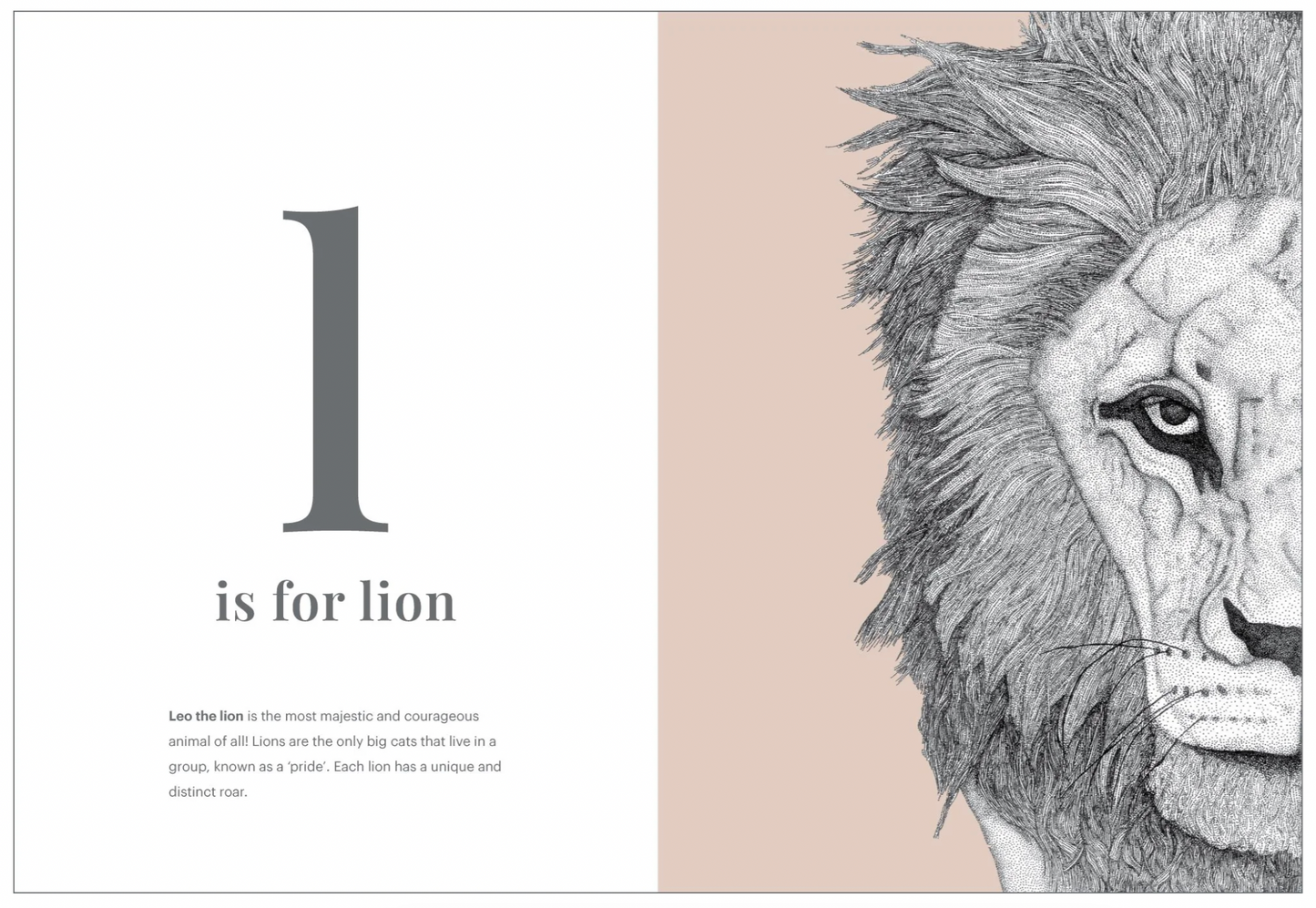 The Animal Alphabet